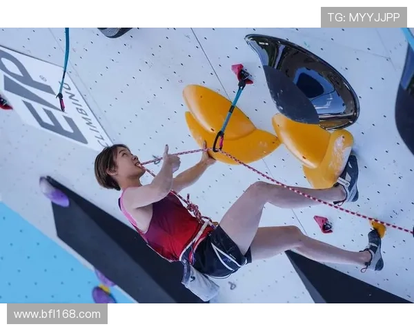 333体育运动会世界杯体育论坛